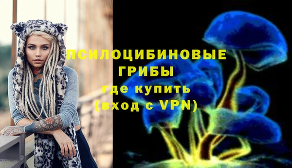 спиды Алзамай