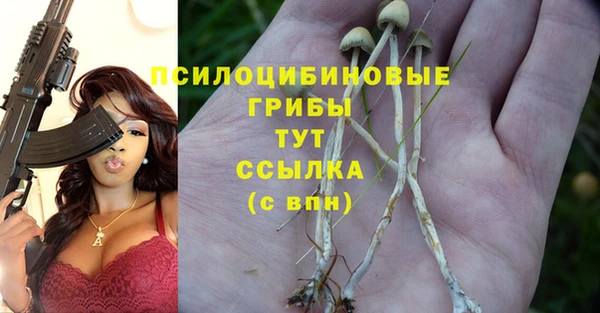 кристаллы Абаза