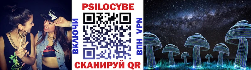 блэк спрут ТОР  Фёдоровский  Псилоцибиновые грибы Psilocybe 